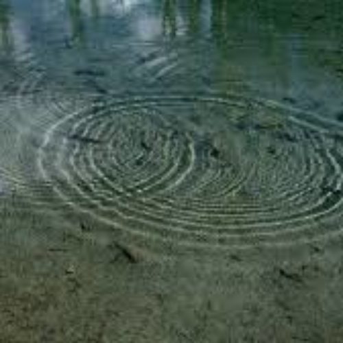 circular-vision-img (9)